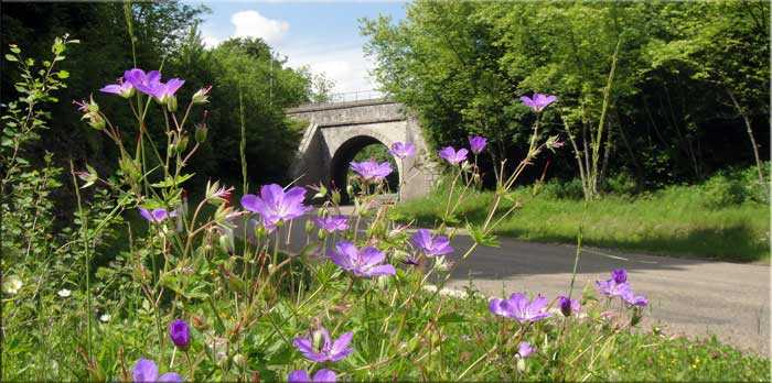 Un des deux pont de chemin de fer, entre Andelot et Pont d'Hry