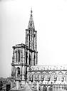 Strasbourg : Cathdrale. - Faade latrale sud / Thaon, Maurice